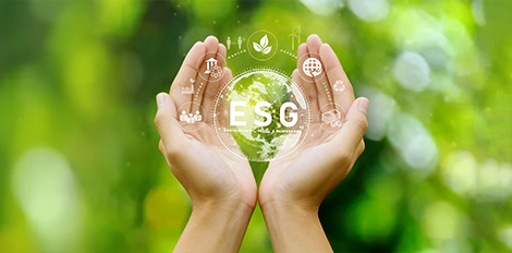 Z6·尊龙「中国」官方网站